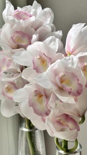 マリーローランサン